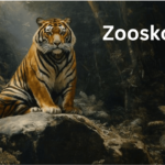 Zooskooñ A Comprehensive Exploration