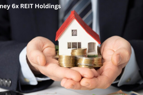 Money 6x REIT Holdings Real Estate Investment Trusts